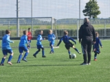 S.K.N.W.K. JO9-1 - ST FC De Westhoek '20/Z.S.C. '62 JO9-3 (competitie) 2024-2025 (4e fase) (24/48)
